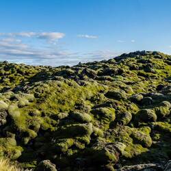 vermoostes, altes Lava