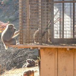 Menschen müssen drinnen bleiben.