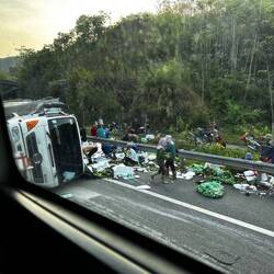 ooops. free vegetables now available