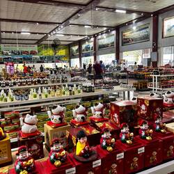 those are the bus/car stops