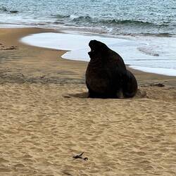 Er wird vo üs gweckt