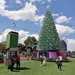 der wohl hässlichste Weihnachtsbaum