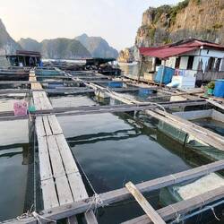 Hier möchte keiner reinfallen.