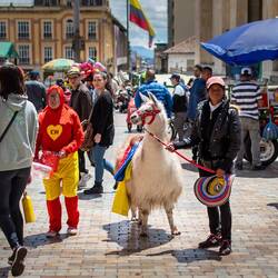 Tourist traps at Plaza de Bolivar / Touristenfalle auf die Plaza de Bolivar