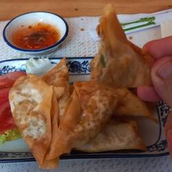 Wanton