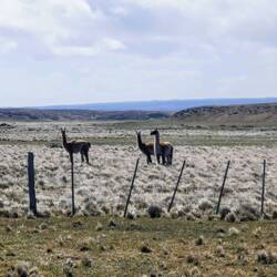 Sie warten auf Ihren Spezl