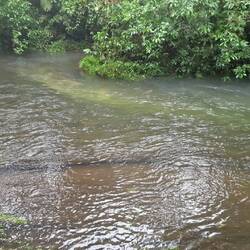 mit Sonne könnte der Fluss blau sein...😔