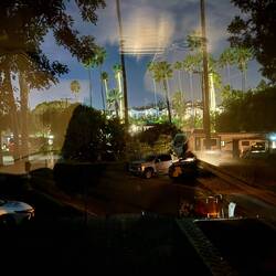 Die Palmen sind schon weihnachtlich geschmückt