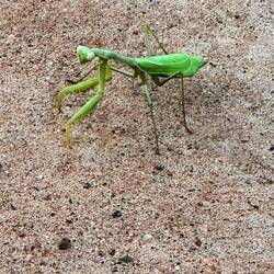 Schaut mich ganz neugierig an