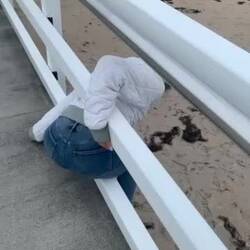 Julia found her crab friends 😂