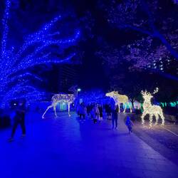 Christmas decorations at a random Christmas market