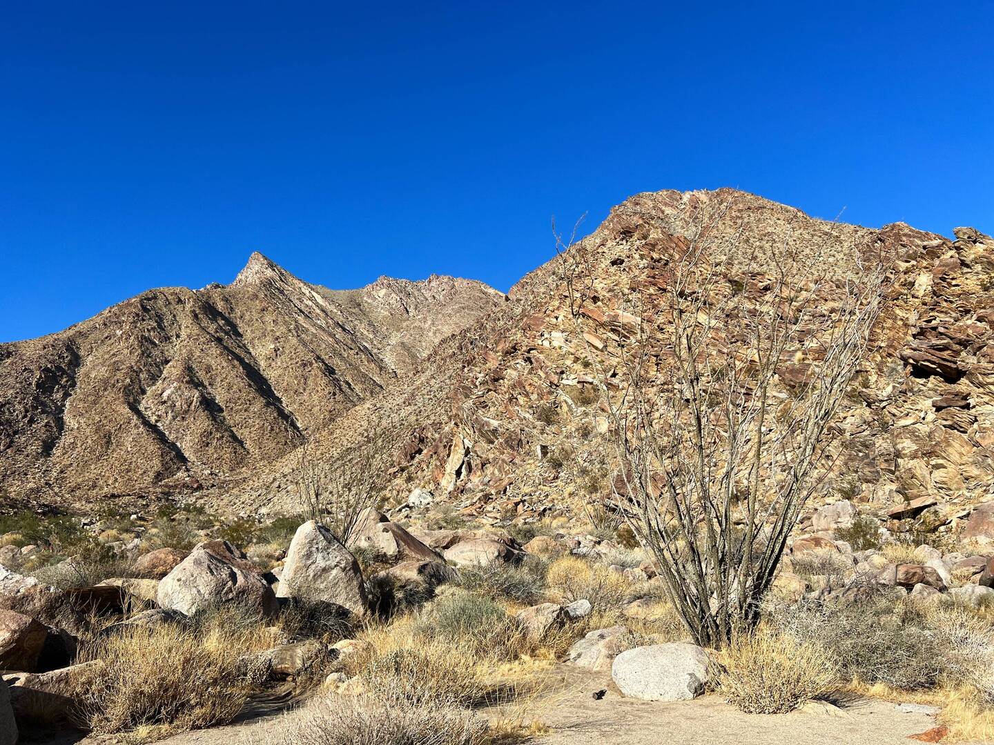 Hiking to a palm oasis