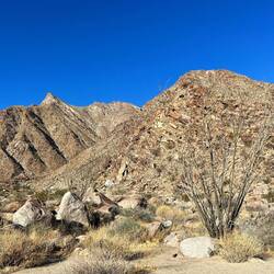 Hiking to a palm oasis