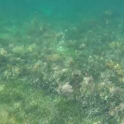 It was such a thrill to be up this close to them