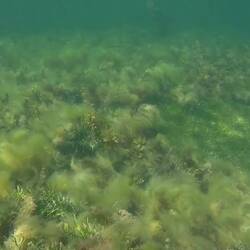 And into the water where one came straight up and said hello!