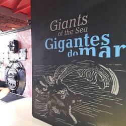 Eigentlich geschlossen, aber wie es der Zufall wollte: Besitzer getroffen, Einzelführung😀