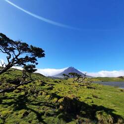 Von unten anzuschauen reichte uns🤣