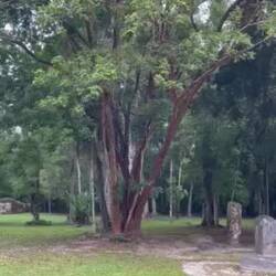 Bitte auf die Geräusche achten 🐆🐒