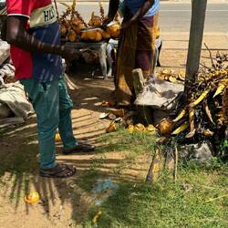 kleine Erfrischung in Negombo 🥥