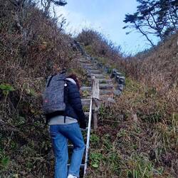 Zur Abwechslung natürlich auch gerne mal über die Leiter