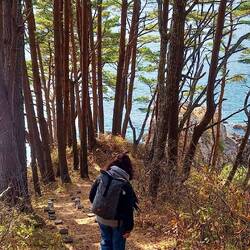 Und schnell sind wir wieder auf dem abstieg