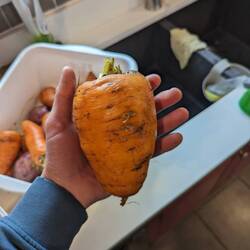 In dem Land ist wohl alles groß