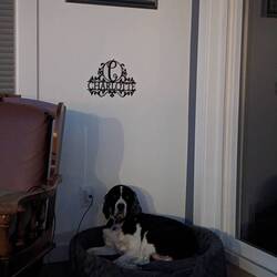 Charlotte darf auch nicht fehlen