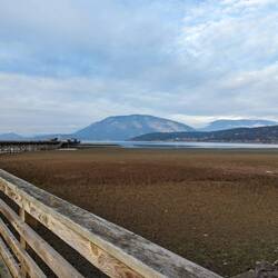 Pier Salmon Arm, die Wiese ist normalerweise Unterwasser