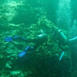 Hesky beim Versuch uns mini kleine Sachen im Riff zu zeigen
