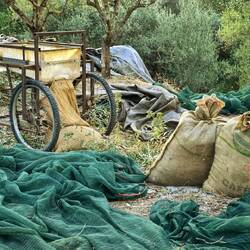 Von der mechanischen Rüttelmaschine ab in den Sack und zu