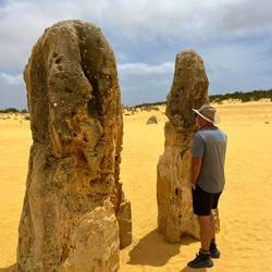 One theory is that these are fossilized trees