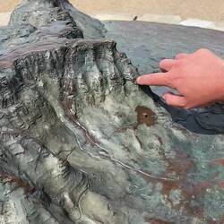 Yvette's Summary of our hike