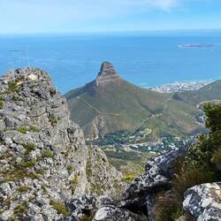 Famous Lions Head