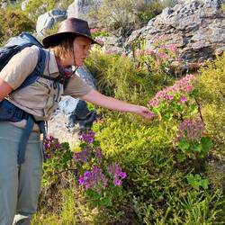 We learnt so much about the Flora of Fynbos