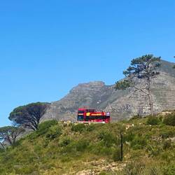 On the hop on-hop off bus tour