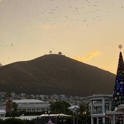Signal Hill at Waterfront