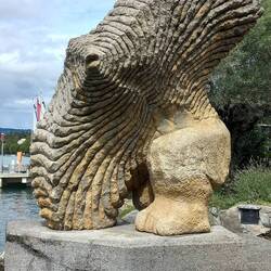 L'uomo pesce volante