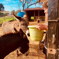 Max in seinem Element 🫶🏼🫏☺️