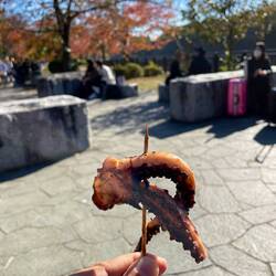 Grilled octopus - Streetfood in Osaka