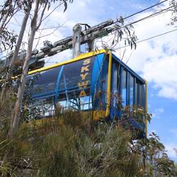 Scenic Skyway