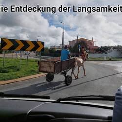 Einer auf dem Kutschbock.