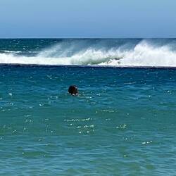 We both went for a swim