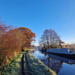 There are still leaves on some trees adding colour to the towpath