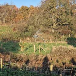 The footpath to town lead along the disused canal basin. Interest was added with info boards & this!