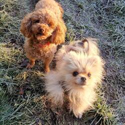 Little Leo still won't wear a coat