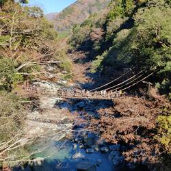 Hangbrug bij Iya