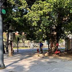 hier werden Motorräder repariert