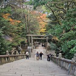 Die Bambus Stöcke konnte man für 100yen, also unter 1€ leihen