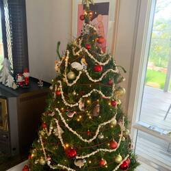 We remembered that its Christmas time