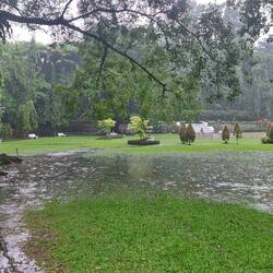 Rainfall in the afternoon